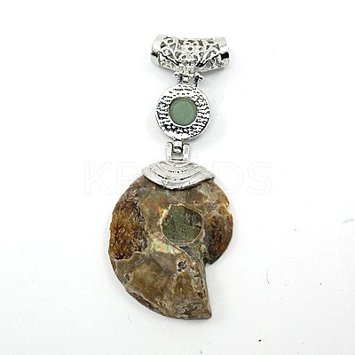Gemstone Fossil Snail Big Pendants G-F062-M-1