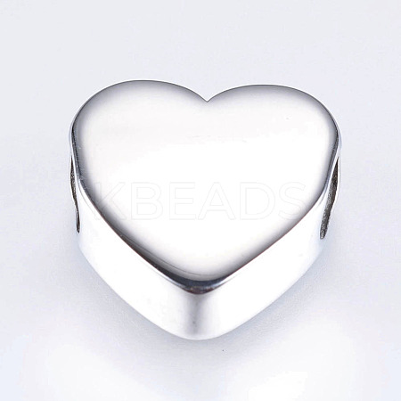 Tarnish Resistant 304 Stainless Steel European Beads STAS-I072-074P-1