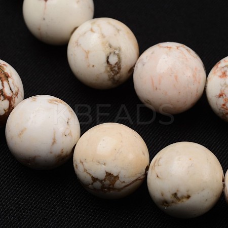 Natural Magnesite Beads Strands TURQ-P027-23-8mm-1