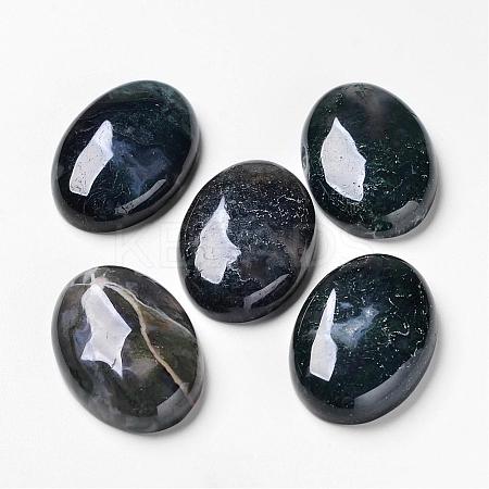 Natural Moss Agate Cabochons G-F296-09-25x35mm-1