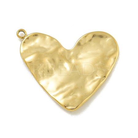 304 Stainless Steel Pendants STAS-L022-413G-1