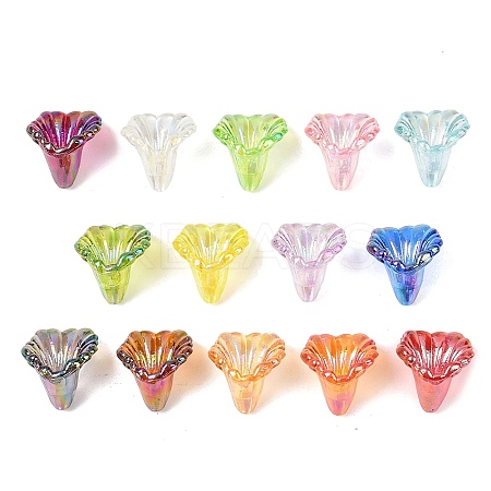 Transparent Acrylic Bead Caps OACR-G054-03-M-1