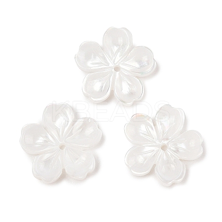 Natural White Shell Carved Beads SSHEL-I026-12D-05-1
