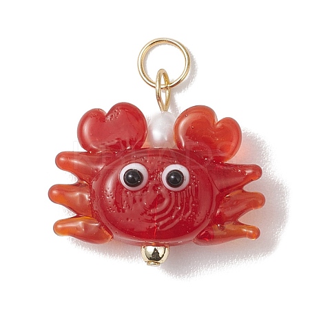 Handmade Lampwork Pendants PALLOY-JF04984-1