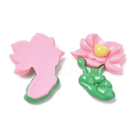 Opaque Resin Cabochons RESI-G072-04F-1
