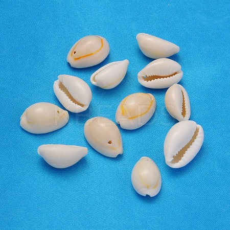Natural Cowrie Shell Beads X-BSHE-S048-1