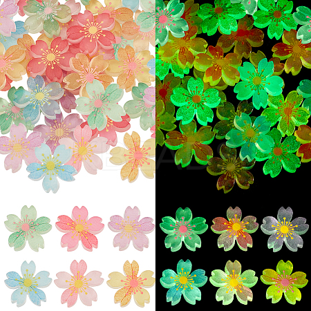 60Pcs 6 Colors Luminous Resin Cabochons RESI-GA0001-30-1-1