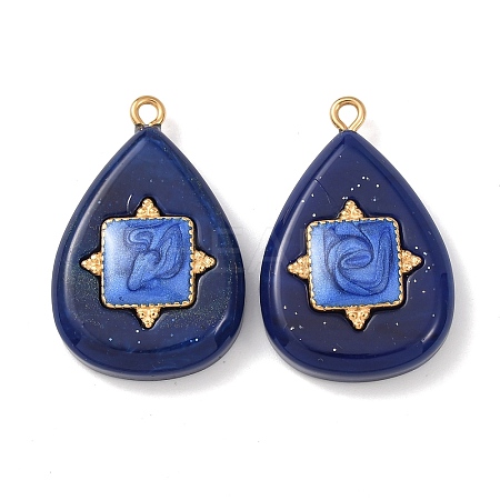 304 Stainless Steel Resin Pendants STAS-F352-07E-07-1