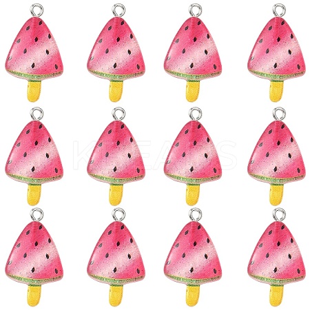 10Pcs Transparent Resin Pendants RESI-YW0005-12-1