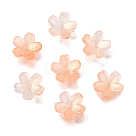 Acrylic Bead Caps OACR-I024-01G-1