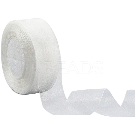 1 Rolls Sheer Organza Ribbon SRIB-CY0001-22B-03-1