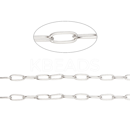 Tarnish Resistant 304 Stainless Steel Paperclip Chains CHS-F010-01B-P-1
