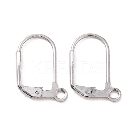 Tarnish Resistant 304 Stainless Steel Leverback Earring Findings STAS-E007-6-01-1