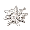 304 Stainless Steel Pendants STAS-Z149-05B-P-2