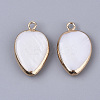 Edge Plated Freshwater Shell Pendants SHEL-S276-37-2