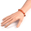 Chips Natural Carnelian Beaded Stretch Bracelets X-BJEW-JB01826-04-3