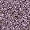 TOHO Round Seed Beads SEED-XTR15-0110-2