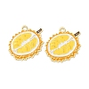 Alloy Enamel Pendants AL-CBA1DF6-02H-1