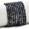 Natural Dumortierite Beads Strands G-Z116-A26-3mm-2