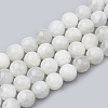Natural Rainbow Moonstone Beads Strands G-S333-8mm-002-1