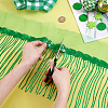 Polyester Tassel Lace Ribbon OCOR-WH0070-175C-3