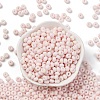 Baking Paint Glass Seed Beads SEED-C003-02F-2