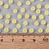 FGB Frosted Transparent Glass Seed Beads SEED-N013-02A-02-4
