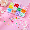 180G 12 Colors Baking Paint Glass Seed Beads SEED-TA0001-55-5