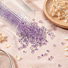 45G Transparent Baking Paint Glass Seed Beads SEED-SZ0001-028H-3