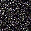 MIYUKI Round Rocailles Beads SEED-JP0010-RR2019-3