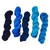5 Bundles 5 Colors Acrylic Fiber Yarn OCOR-TA0003-22-1