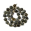 Natural Labradorite Beads Strands G-Z080-A33-10mm-3