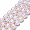 Natural Cultured Freshwater Pearl Beads Strands X-PEAR-N012-09B-1