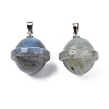 Natural Labradorite Pendants PORC-T132-053C-2