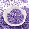 Baking Paint Glass Seed Beads X-SEED-S042-15B-32-2