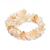 Heated Natural Citrine Beads Strands G-N327-05-22-3