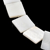 Natural Freshwater Shell Beads Strands SHEL-A006-10B-3