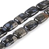 Natural Glaucophane Beads Strands G-C141-C01-03-1