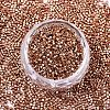 FGB 11/0 Grade A Glass Seed Beads X-SEED-S030-1201-3