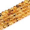 Natural Amber Beads Strands G-K387-D02-03-1