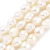 Natural Cultured Freshwater Pearl Beads Strands PEAR-P062-24A-1