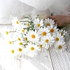 Handmade Plastic Artificial Flower PW22052845961-1