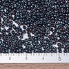MIYUKI Round Rocailles Beads X-SEED-G007-RR2009-4