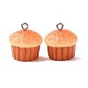 Opaque Resin Pendants RESI-K048-01E-1