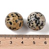 Natural Dalmatian Jasper No Hole Sphere Beads G-K353-04D-16-3