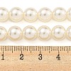 Glass Pearl Beads Strands HY-G002-01D-02-5