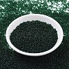 MIYUKI Round Rocailles Beads SEED-JP0008-RR0156-2
