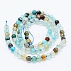 Natural Agate Beads Strands X-G-E469-12P-2
