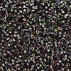 MIYUKI Delica Beads SEED-MY11-DB2205-3