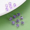 Transparent Acrylic Beads LS-MACR-S373-84-B06-6
